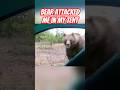 Bear Attacked Me In My Tent  short