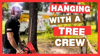 Day in the Life: Working with a Tree Removal Team Using Echo Chainsaws