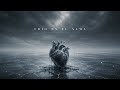 Vidal Lara - Frío En El Alma 