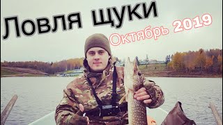 Ловить щуки в ленинградской области на озере
