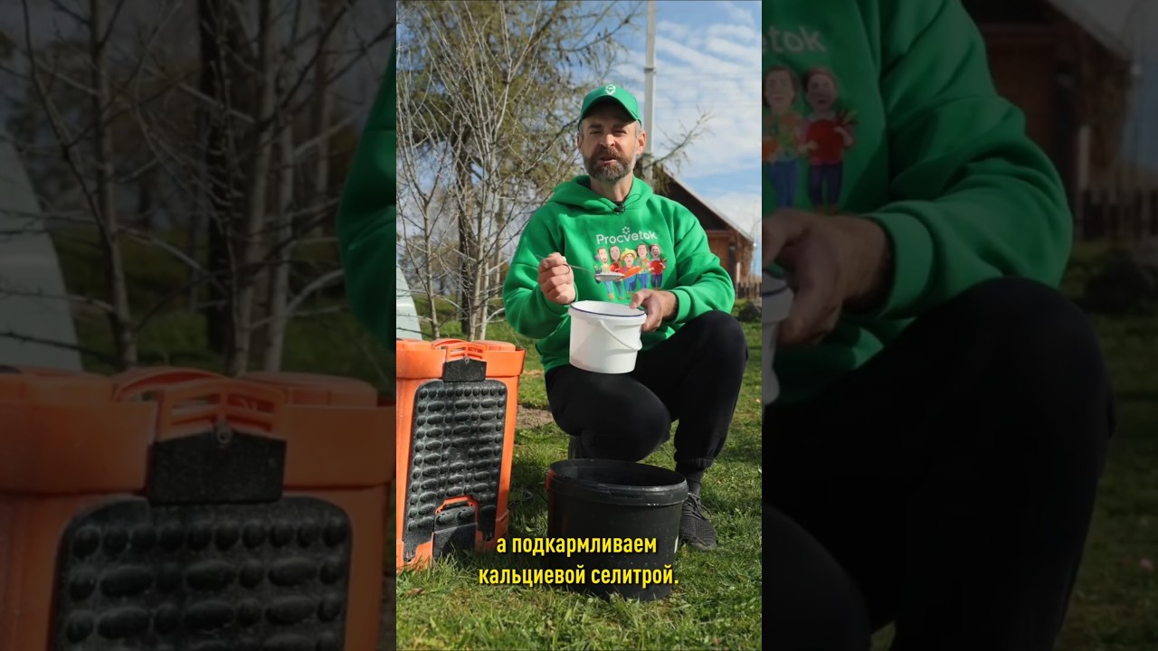 Вишню и черешню будете собирать ведрами, если сделаете это весной!