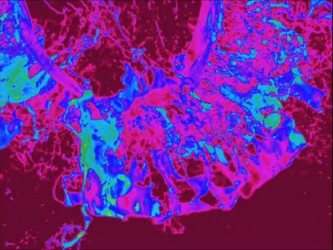 Great Charity Shop Finds No 63 - Avant Garde Electronic Music 3