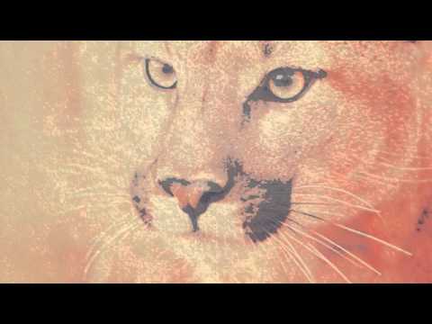 Deaf Pillow - Chemtrails (Original)