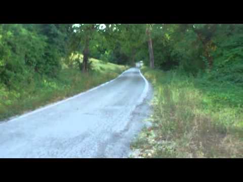 Test Audi Quattro Gr. 4 Zivian Ceschino