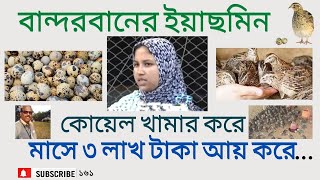 কোয়েল পাখি পালন