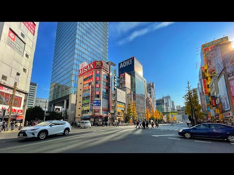 Live Tokyo Walk - Akihabara & Kanda Myojin Shrine