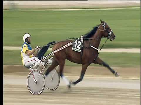 Trotto 15/04/2018 - 1ª corsa