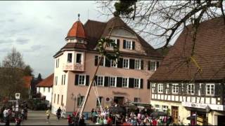 preview picture of video 'Der FZ stellt den Maibaum Wurmlingen 2012'