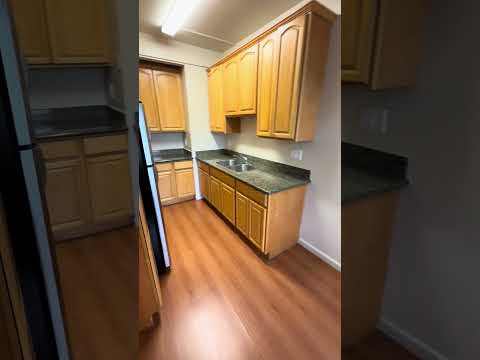 Rich 1047 - Video 2 of 2