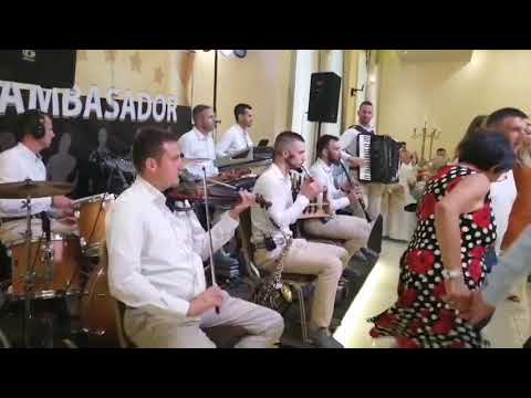 Orkestar AMBASADOR +381603320240  ⭐️⭐️⭐️⭐️⭐️🎵