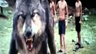 Yuna Zarai- After Midnight (Twilight New Moon)