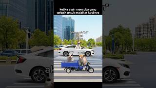 Download lagu panjang umur buat ayah kita semua😇 #meme #memekucing #kucing #kucinglucu #fyp #viral mp3