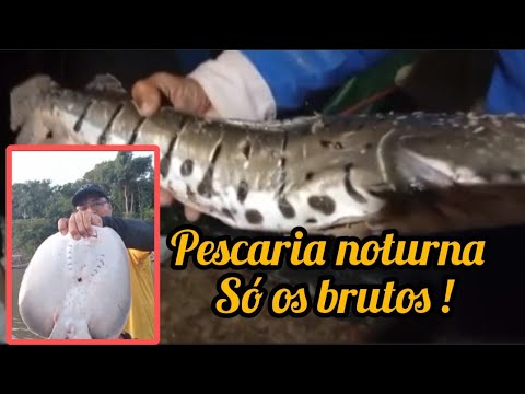 Pescaria Noturna, Pegamos Só Os Brutos no Rio Tesoura em Mozarlândia -Go 