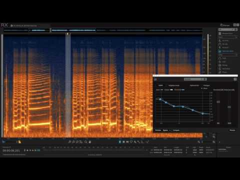 Fix Room Noise on Guitar Recordings with RX Elements