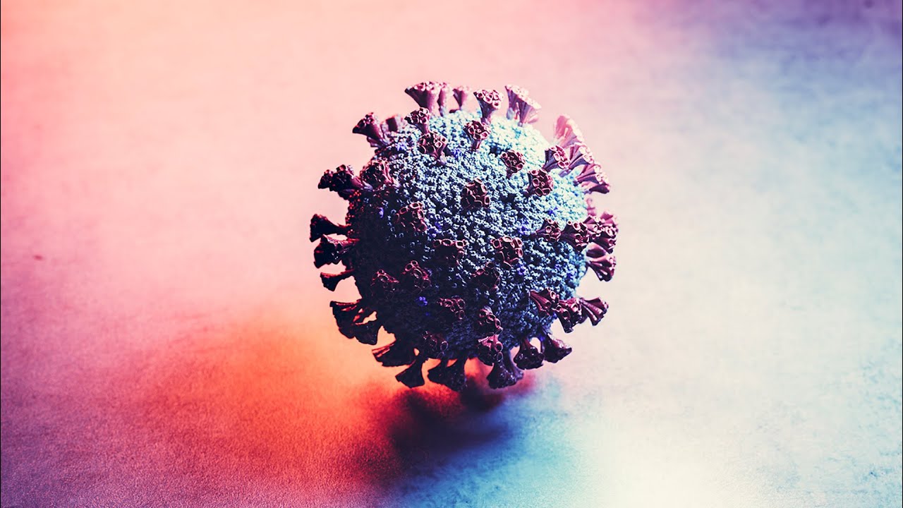 Webinar divulgativo — COVID-19: separare i fatti dai miti