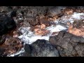 Unwoman - "The Bridge" - DIY Music Video