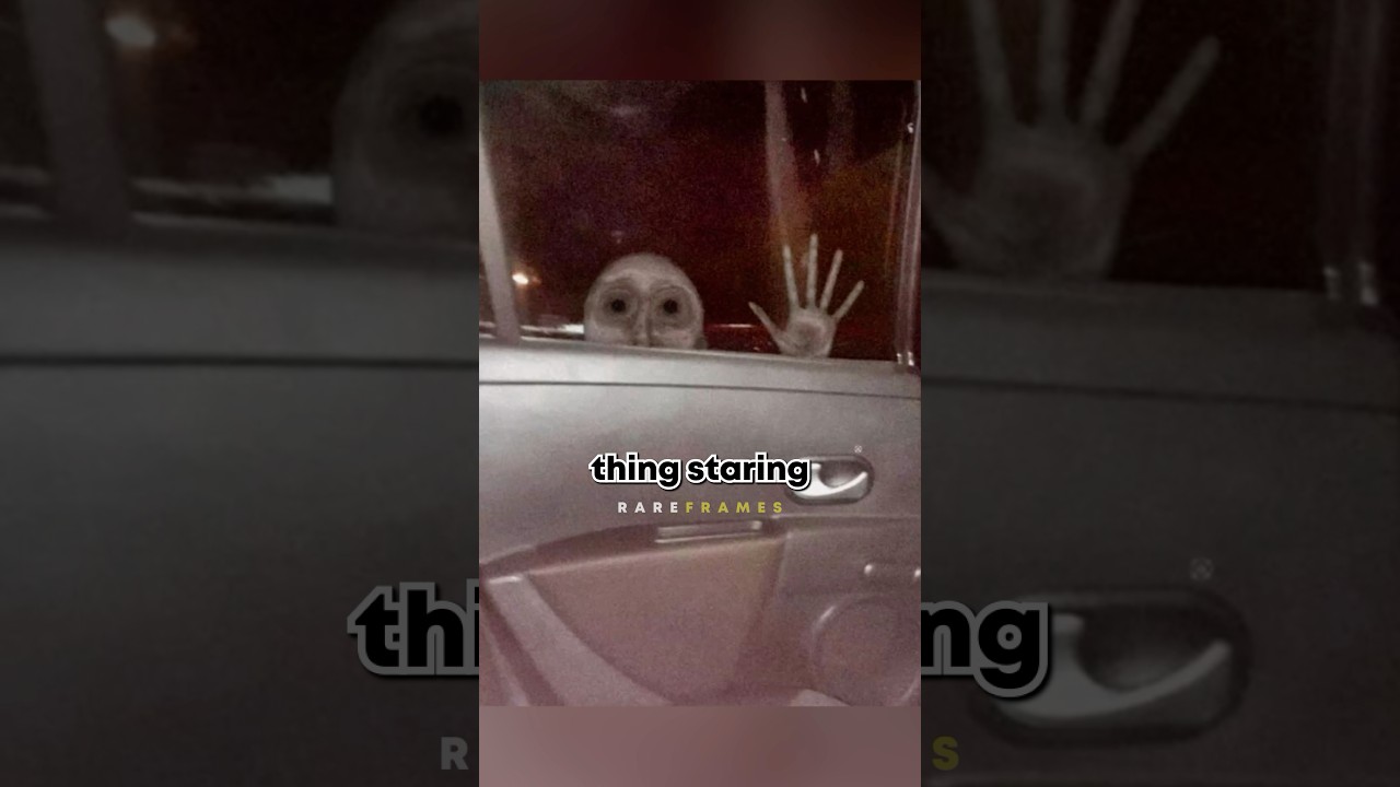 Rare Photos That NO ONE Was Ready For 🤯