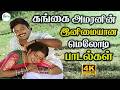 கங்கை அமரனின் இனிமையான மெலோடி பாடல்க