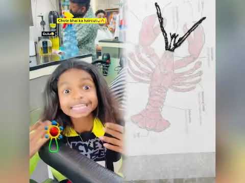 🤣👌👌👌2026 pov Must-Watch Crazy Clips Compilation #humor #fypシ #pov #fyp #foryou #funny 😍😜