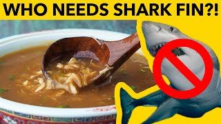 🚫 🦈  Shark Fin Soup, without the Shark.