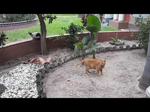 Nice Brisk Day to Play