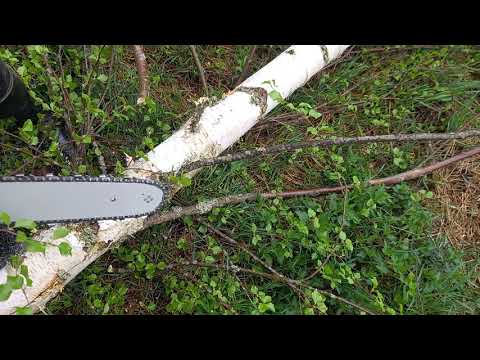 Pellonreunan savottaa.20.5.2021