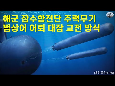 해군 잠수함 전단 주력무기. 범상어 어뢰 대잠 교전 방식