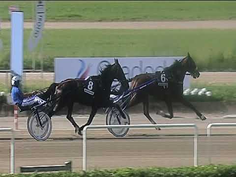 Trotto 08/06/2019 - 6ª corsa