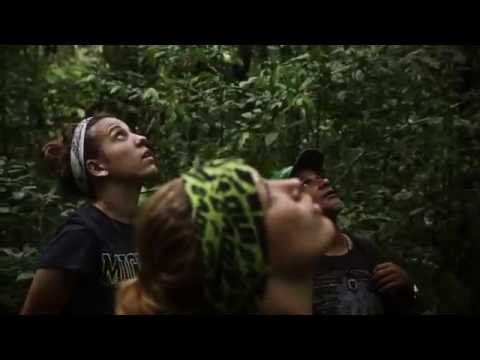 What is impossible2Possible (i2P)?