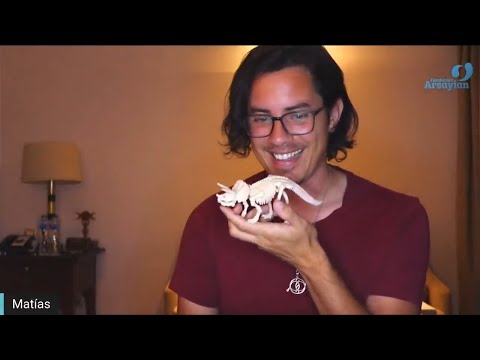 Day 264 Edición en Español - EXPERIMENTACION - Spanish edit- Matias De Stefano