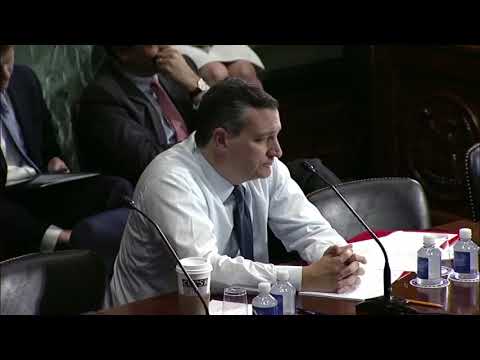 Sen. Cruz Discusses Immigration Solutions at Judiciary Committee - June 21, 2018