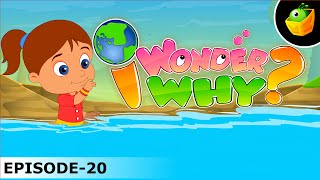 Why Does The Tide Come In And Go Out Again? - I Wonder Why - Amazing Fun Facts Video For Kids