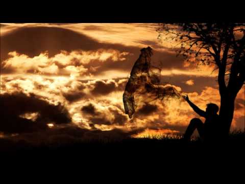 Solesystem & LeDroid pres Melomaniacs - American Dream (D-Eye remix)