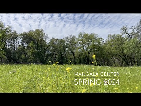 Spring-Summer 2024