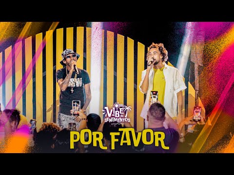 Banda Sentimentos e Mc Tocha - Por favor (DVD Vibe da Sentimentos)