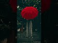 Barsat Ke Din Aaye Status Rain Videos Status Rain Videos ️ ️ ️ ️ Short Rainyday