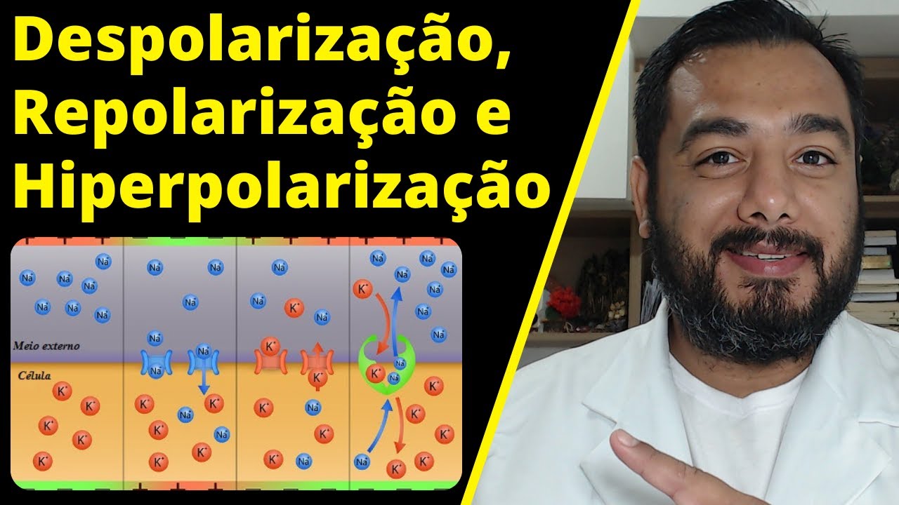 Despolarização, Repolarização e Hiperpolarização | Fases do Potencial de Ação | #Fisiologia