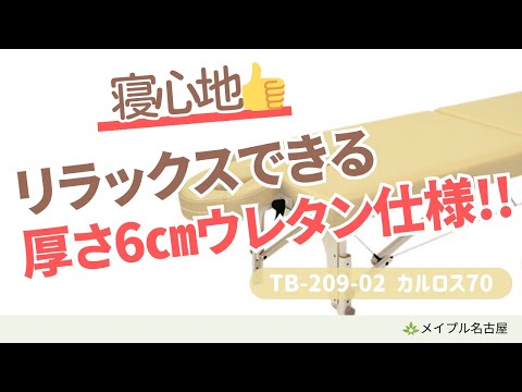 【高田ベッド】TB 209-02 カルロス70