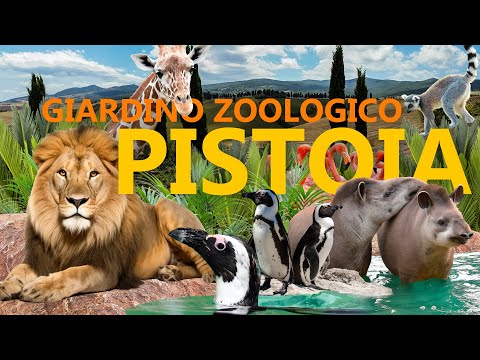 Zoo Pistoia - ein Geheimtipp in der Toskana! | Zoo-Eindruck
