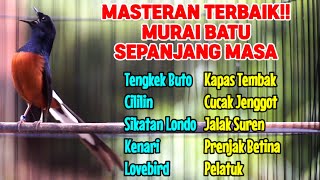 Download lagu MASTERAN MURAI BATU LOMBA AMPUH UNTUK PANCING EMOSI AGAR NGAMUK DAN BONGKAR MATERI mp3