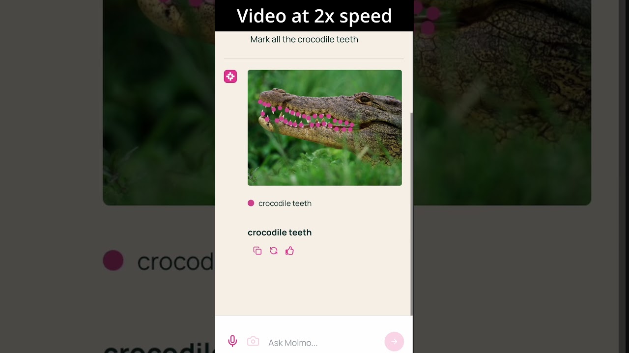 Molmo: a new vision-language model