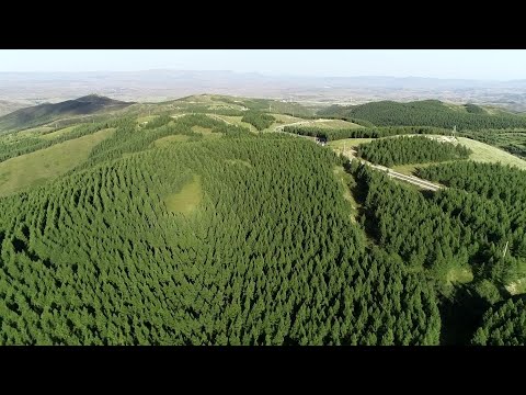 “Caminhando acima do céu” em uma ponte suspensa de vidro, cidade de Zhangjiakou, província de Hebei