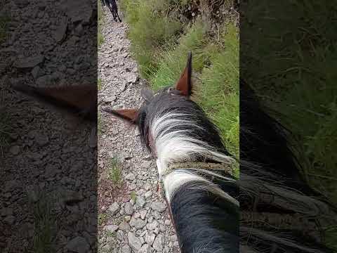 cabalgata en capilla del monte cordoba