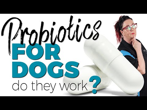 Probiotics and Prebiotics for Dogs Health. What's the Difference? Do they Work?