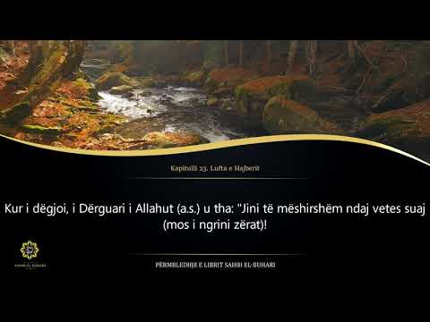 Sahih Buhari - Hadith 1640 - Lufta e Hajberit