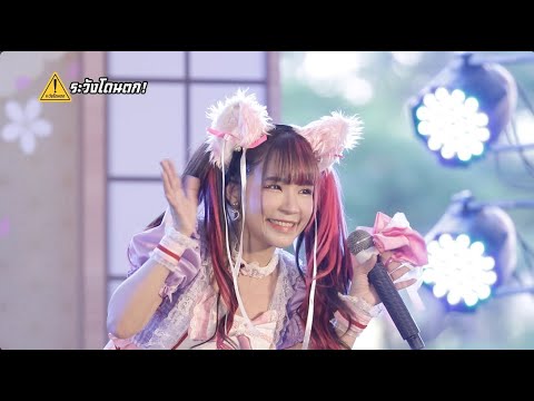 จือดื่อดึดจือ - Castella [Fancam Tangkwa Castella] / J-Trend in Town #ระวังโดนตก !