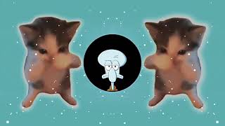 Download lagu DJ KICAU KICAU KICAU MANIA SLOW VIRAL TIKTOK FULL SONG MAMAN FVNDY 2026 mp3