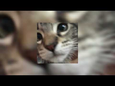 left boy — sweet dreams (speed up | tiktok version)