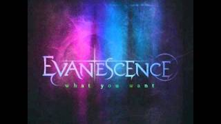 Evanescence - What You Want (Audio only)