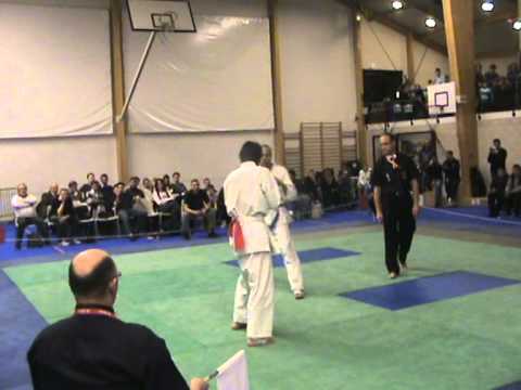 Matthieu kyokushin premesques 2011
